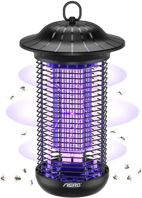 10 Best Bug Zappers in 2022 (Black + Decker, Flowtron, and More) 1