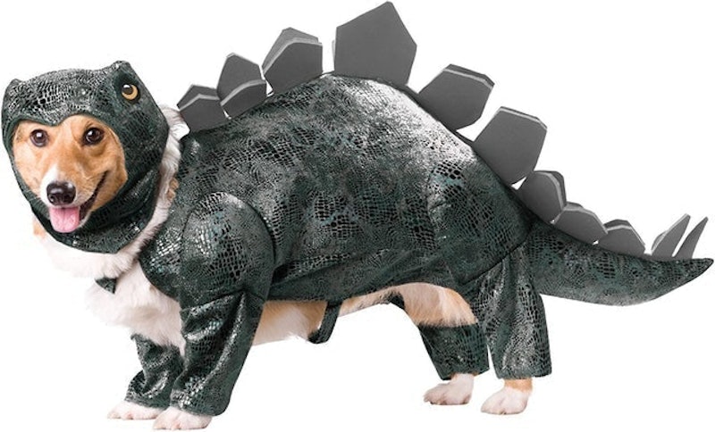 Stegosaurus Dog Costume 1