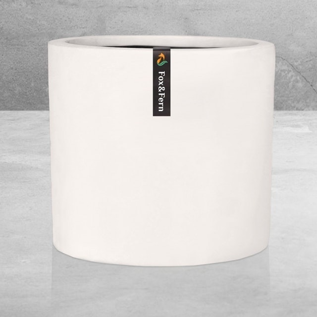 10-inch Matte White Plant Pot 1