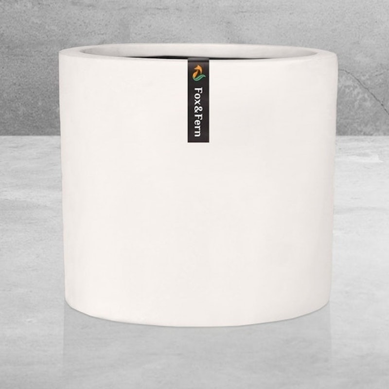 10-inch Matte White Plant Pot 1