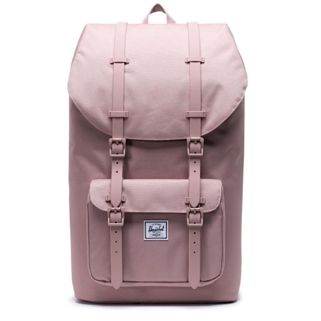10 Best Backpacks for College Girls in 2022 (The North Face, Herschel, and More) 2