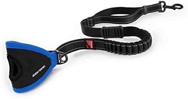 Handy Bungee Dog Leash 2