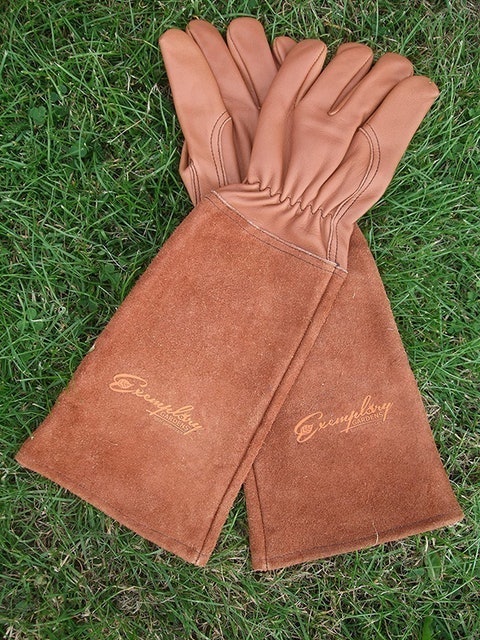Rose Pruning Gloves 2