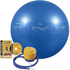 Professional Grade Stability Ball