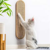 10 Best Sisal Scratching Posts in 2022 (SmartyKat, PetFusion, and More) 5