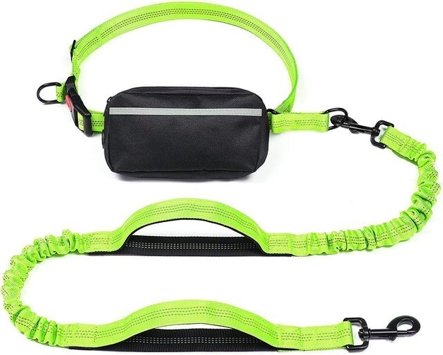 Hands Free Dog Leash with Dual Bungees 2
