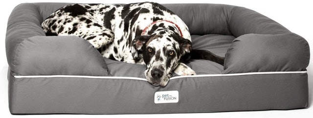 10 Best Dog Beds for Large Dogs in 2022 (PetFusion, Big Barker, and More) 3