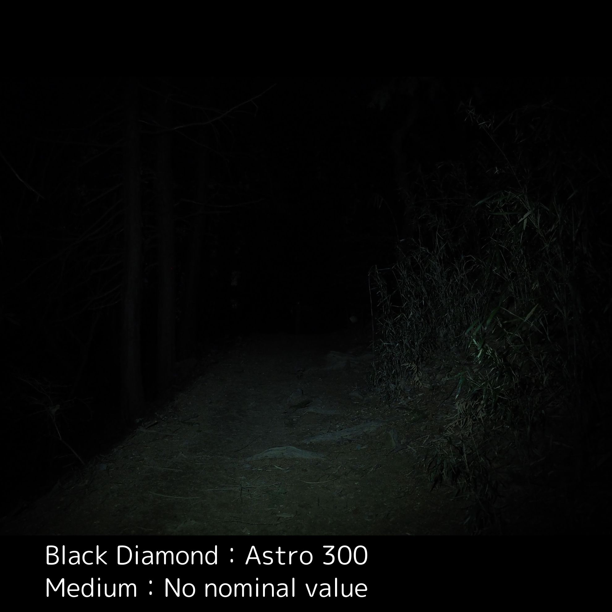 Astro 300 Headlamp 13