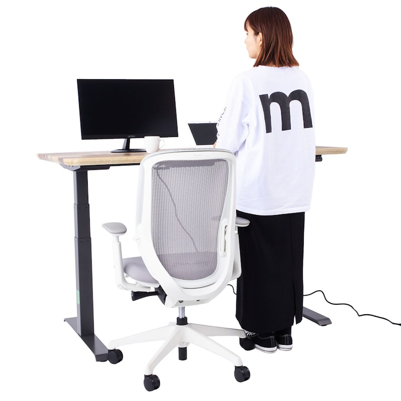 Electric Standing Desk 9