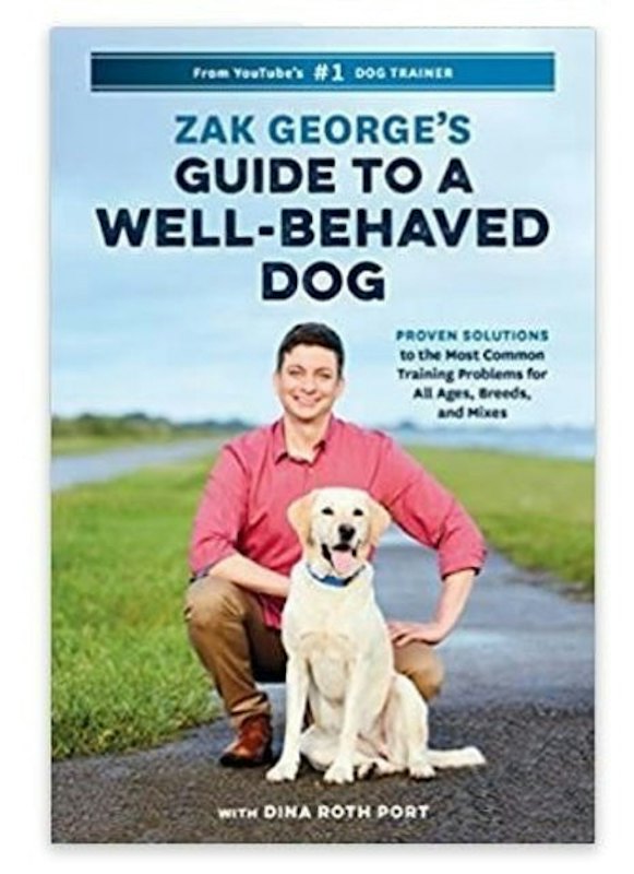 Guide to a Well-Behaved Dog 1