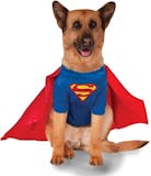 10 Best Dog Halloween Costumes in 2022 (Rubie's, Animal Planet, and More) 4