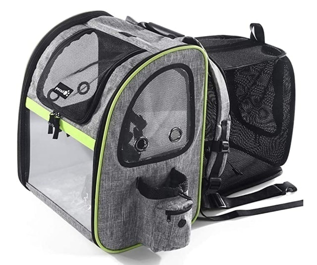10 Best Cat Backpack Carriers in 2022 (PetAmi, Lollimeow, and More) 4