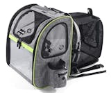 10 Best Cat Backpack Carriers in 2022 (PetAmi, Lollimeow, and More) 4