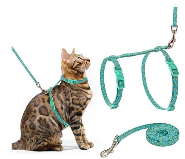 10 Best Cat Harnesses in 2022 (Kitty Holster, rabbitgoo, and More) 2