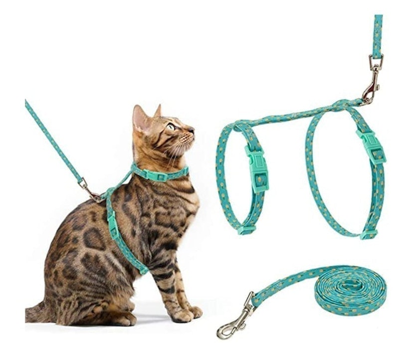 Cat Harness and Leash Set 1