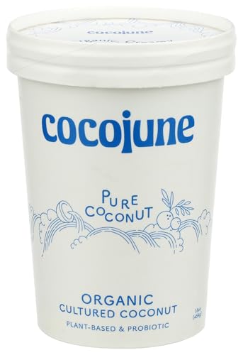 10 Best Vegan Greek Yogurt Alternatives of 2026 5