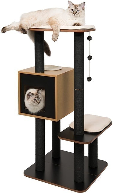 Walnut High Base Cat Furniture 3