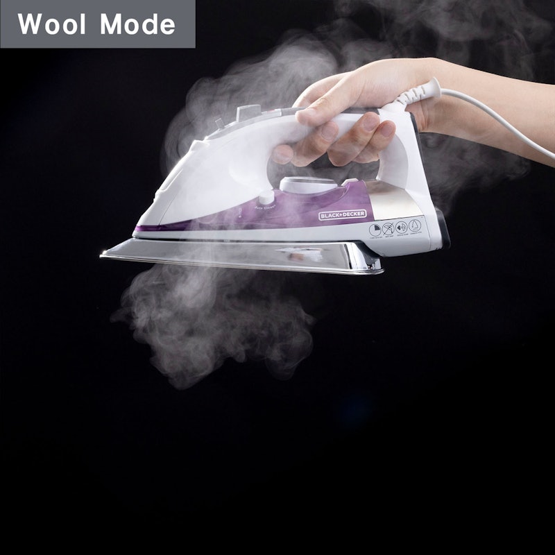 Professional Steam Iron 11