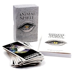 The Wild Unknown Animal Spirit Deck