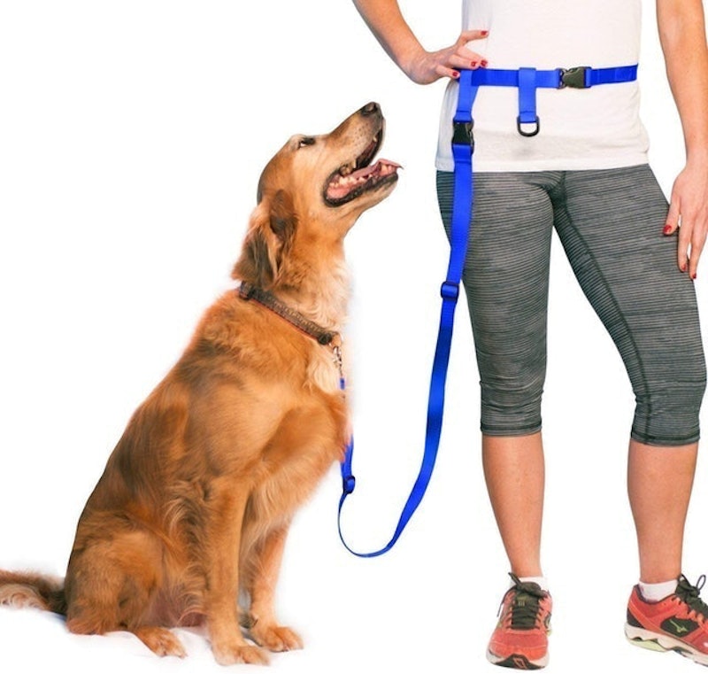 Adjustable Hands Free Dog Leash 2