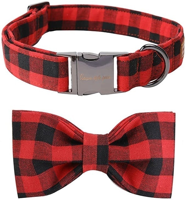 10 Best Gifts for Dog Lovers in 2022 (Outward Hound, Hoofun, and More) 5
