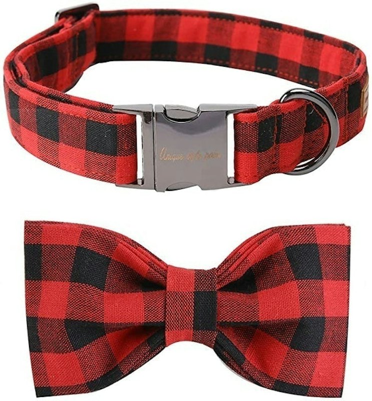 Bowtie Dog Collar 1