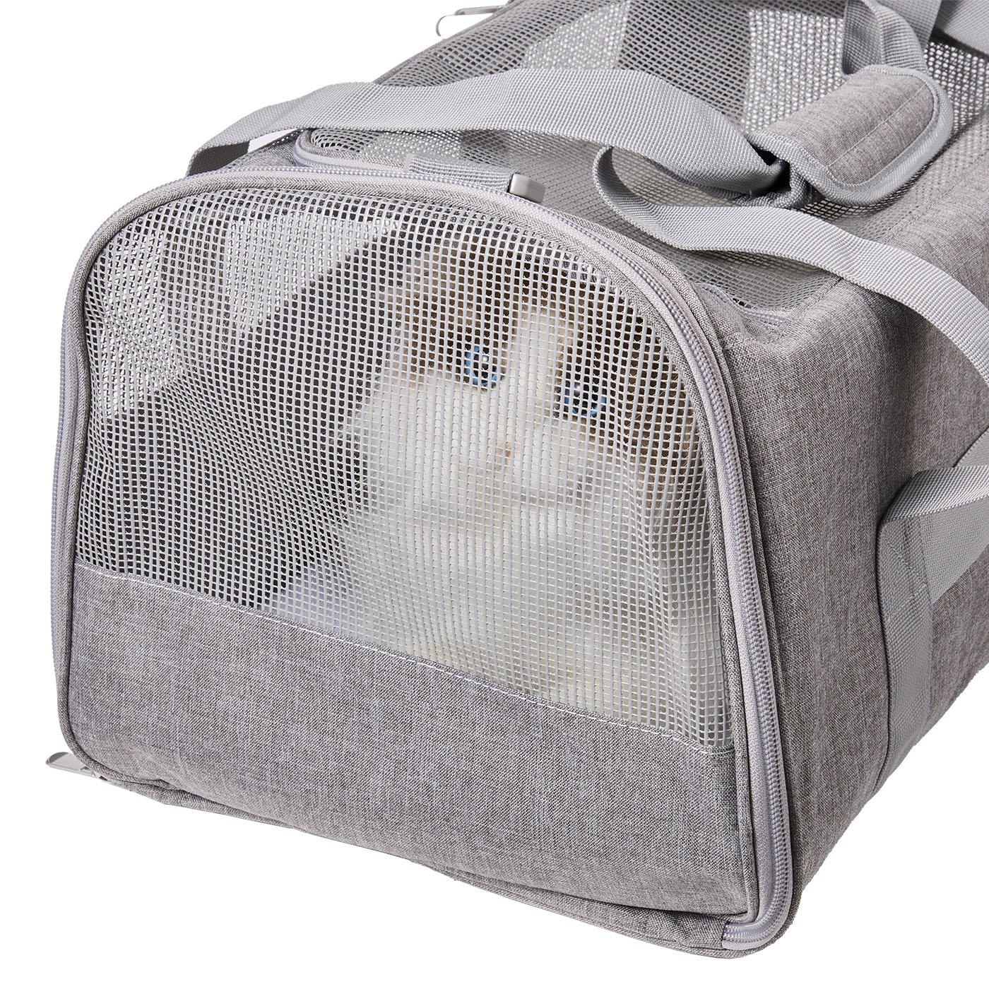 Pet Carrier Airline Approved for Cat 8