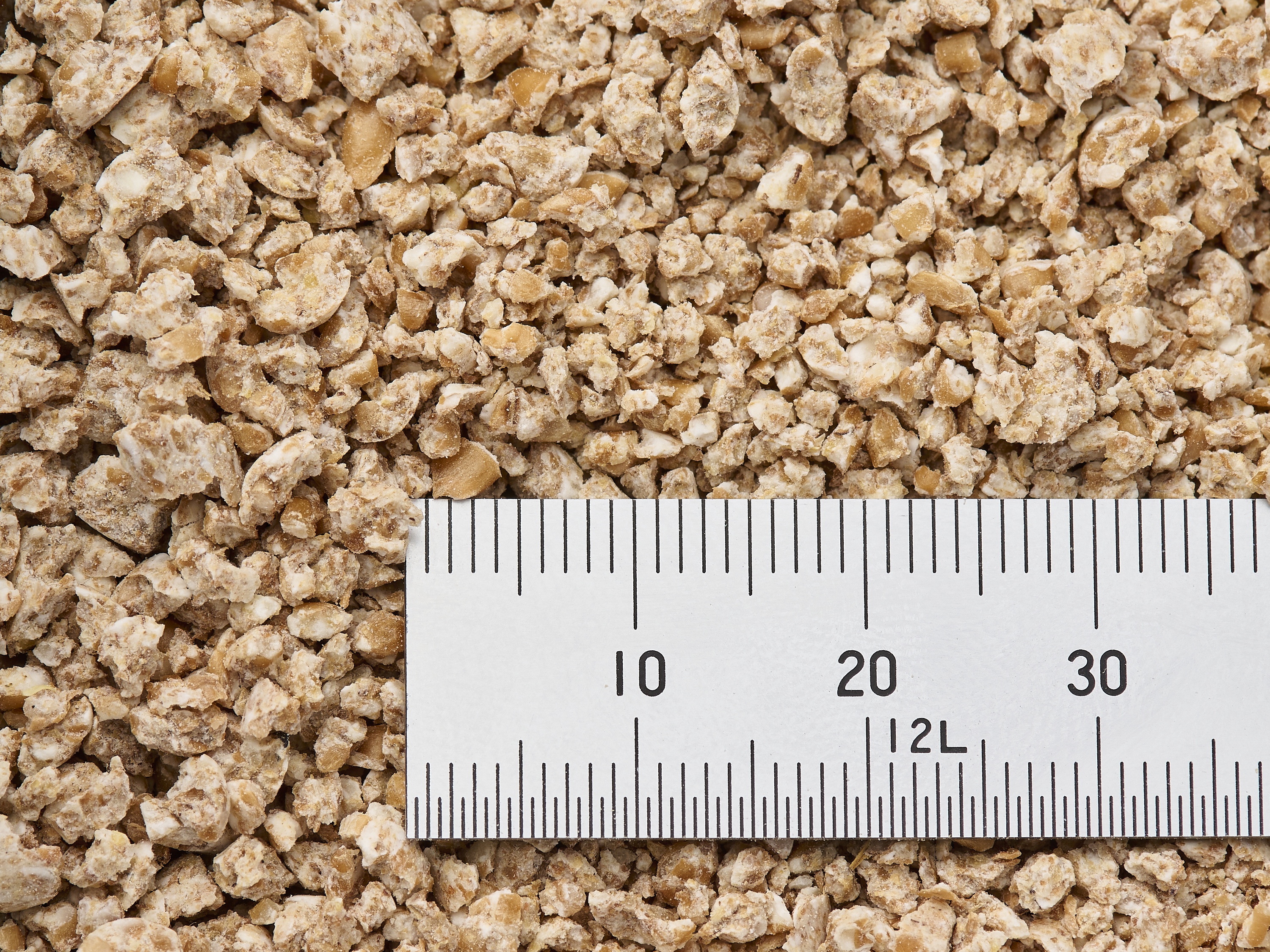Original Wheat Cat Litter 5