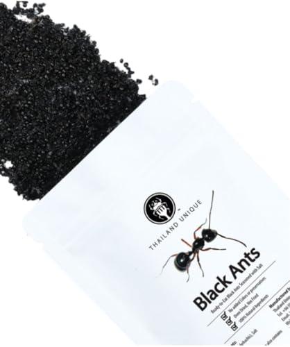 Edible Black Ants with Salt 1