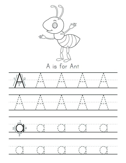 Handwriting Practice Workbook 3