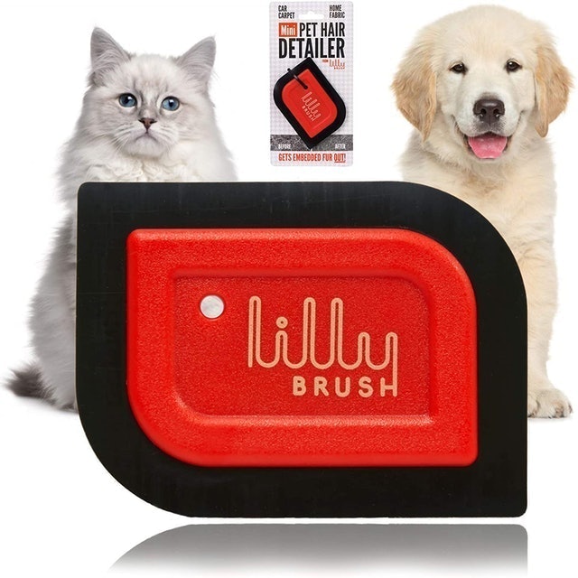 10 Best Pet Hair Removers of 2026 (ChomChom Roller, Dyson, and More) 3