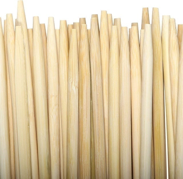 10 Best Roasting Sticks in 2022 (Camp Chef, MalloMe, and More) 3
