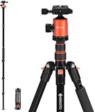 10 Best Travel Tripods in 2022 (Amazon Basics, UBeesize, and More) 5