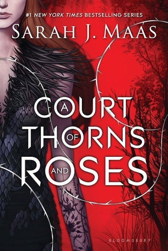 A Court of Thorns and Roses 1