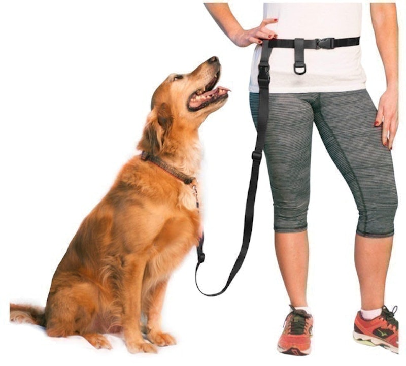 Adjustable Hands Free Dog Leash 1