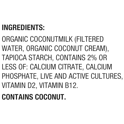 Dairy Free Coconut Milk Yogurt Alternative 3