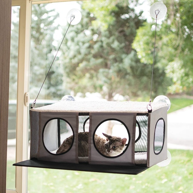 10 Best Cat Beds in 2022 (PetFusion, Pet Magasin, and More) 2