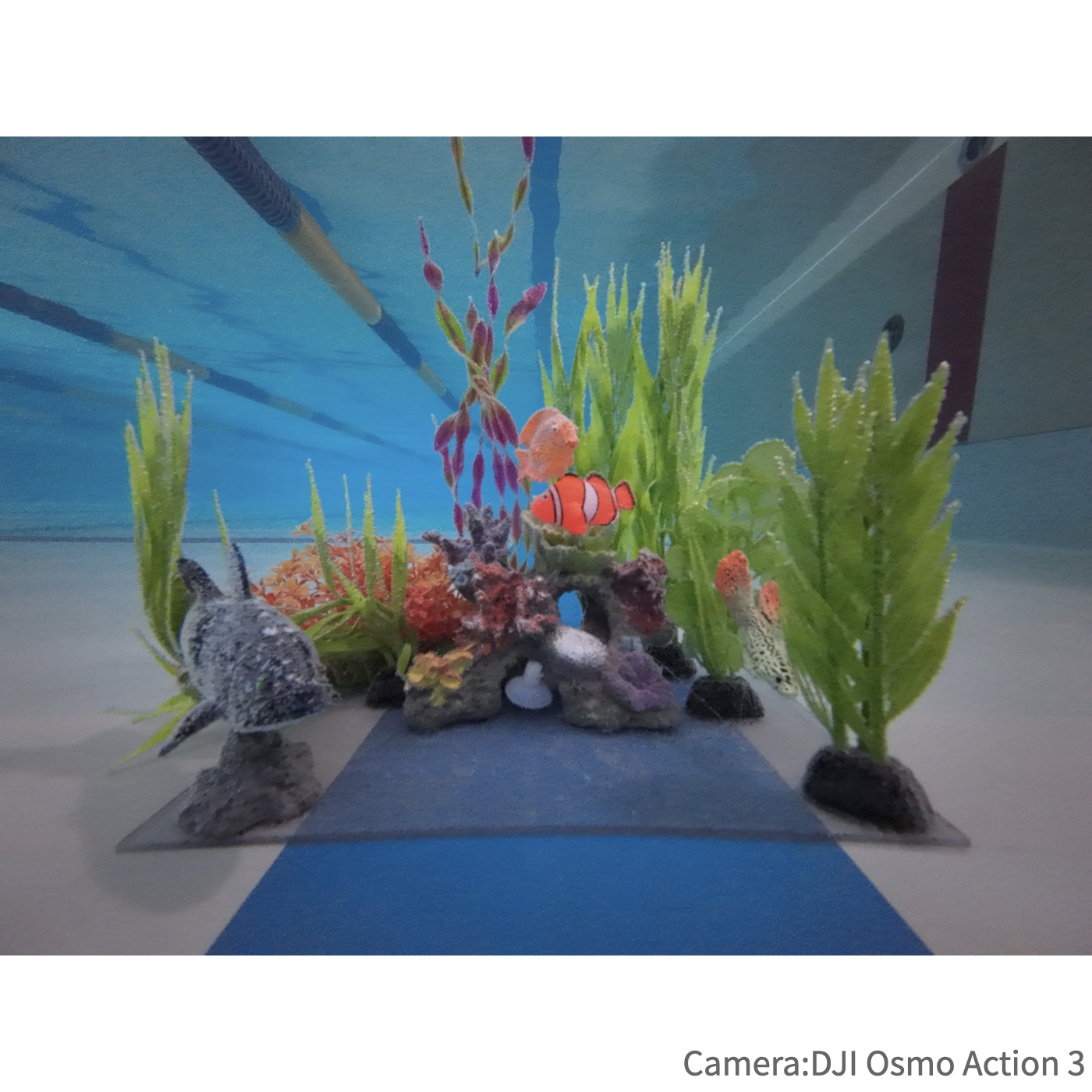 DJI	Osmo Action 3 7