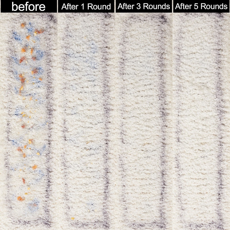 MultiClean Allergen Lift-Off Pet 2