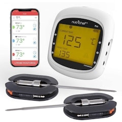 Smart Bluetooth Thermometer
