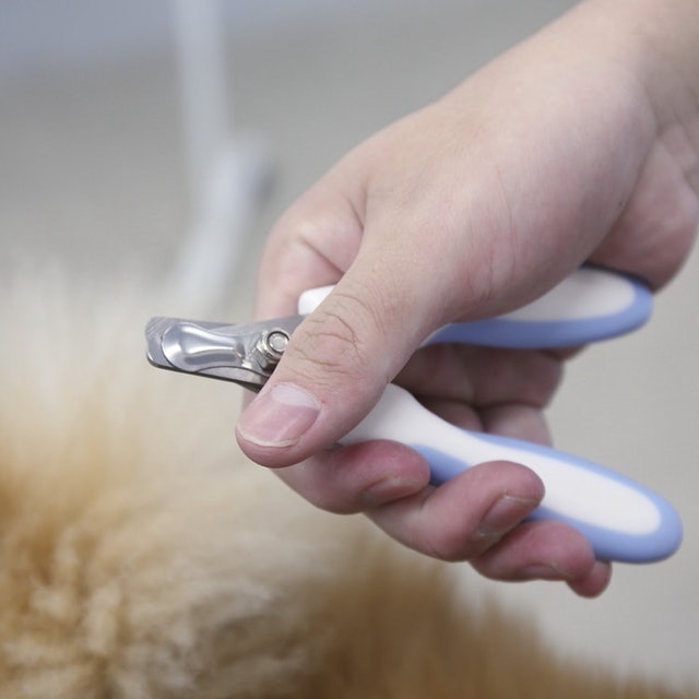 Pet Nail Clipper and Nail File Set 5