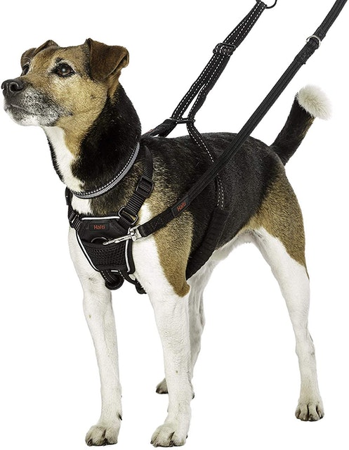 Halti No-Pull Harness 1