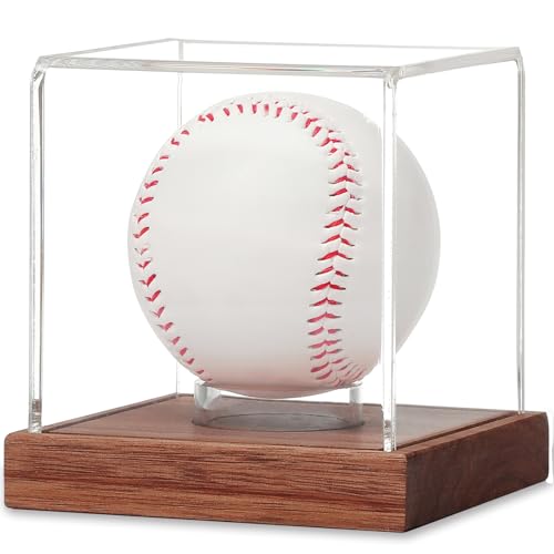 10 Best Display Cases of 2026 5