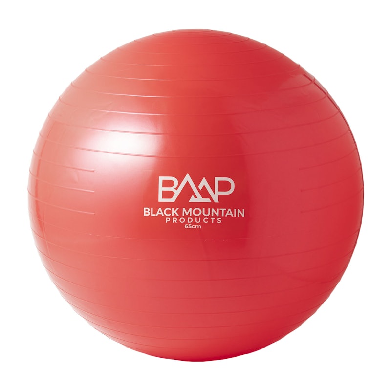 2000 Lbs. Static Strength Stability Ball with Pump 1