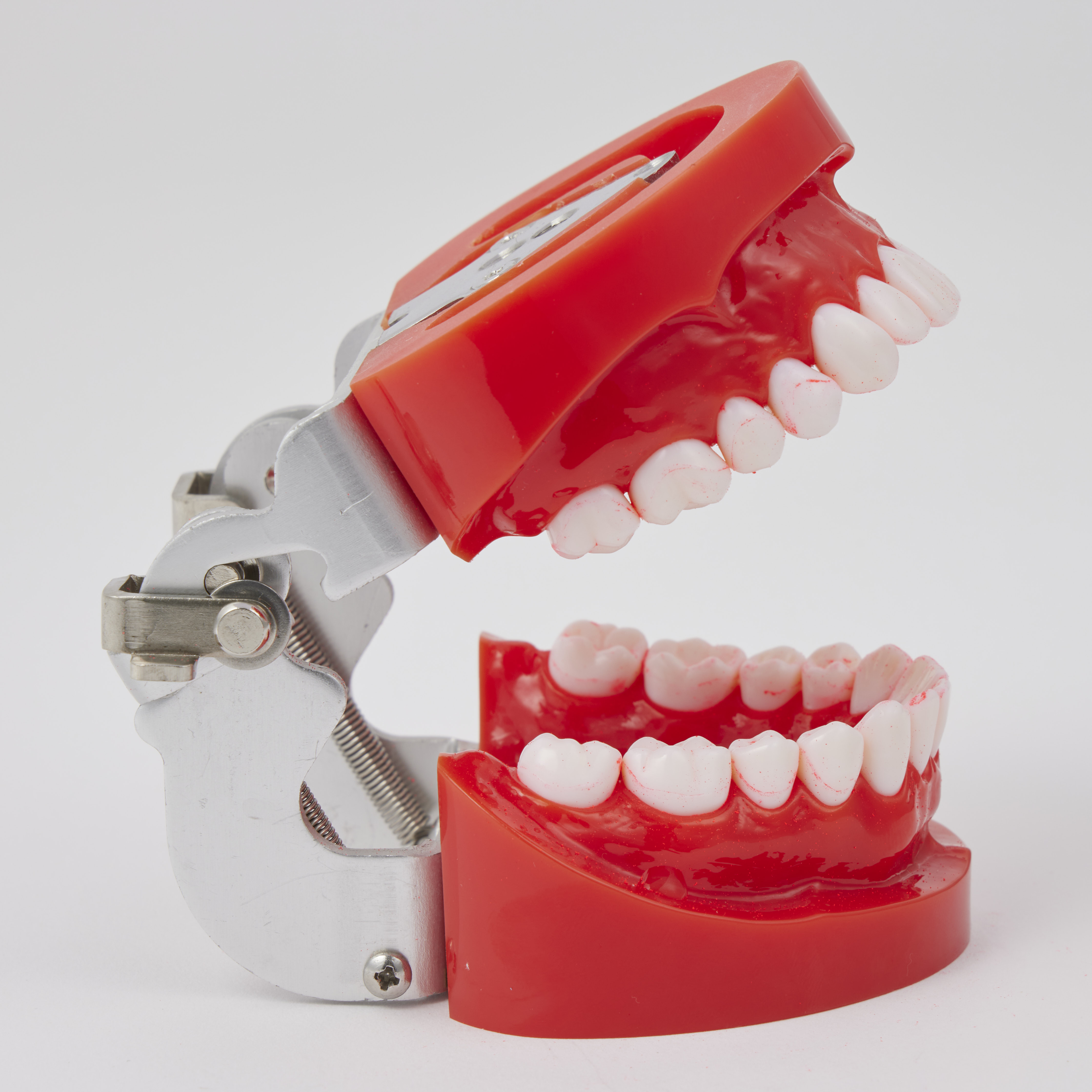 Clinical Battery Powered Toothbrush 9