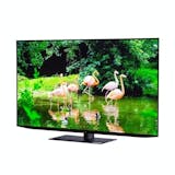 10 Best Tried and True Japanese TVs in 2022 (Audio and Visual Journalist-Reviewed) 4