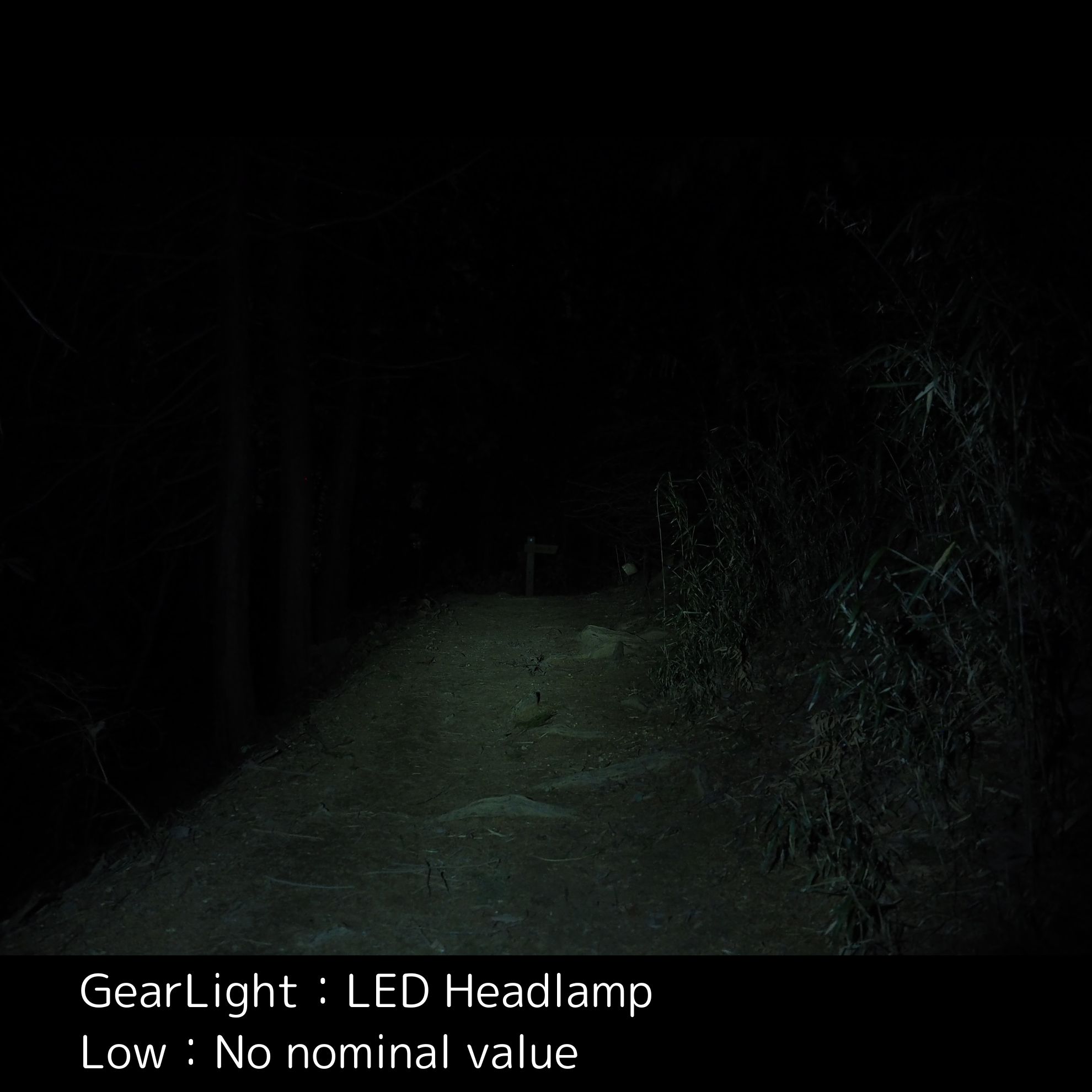 LED Headlamp 16