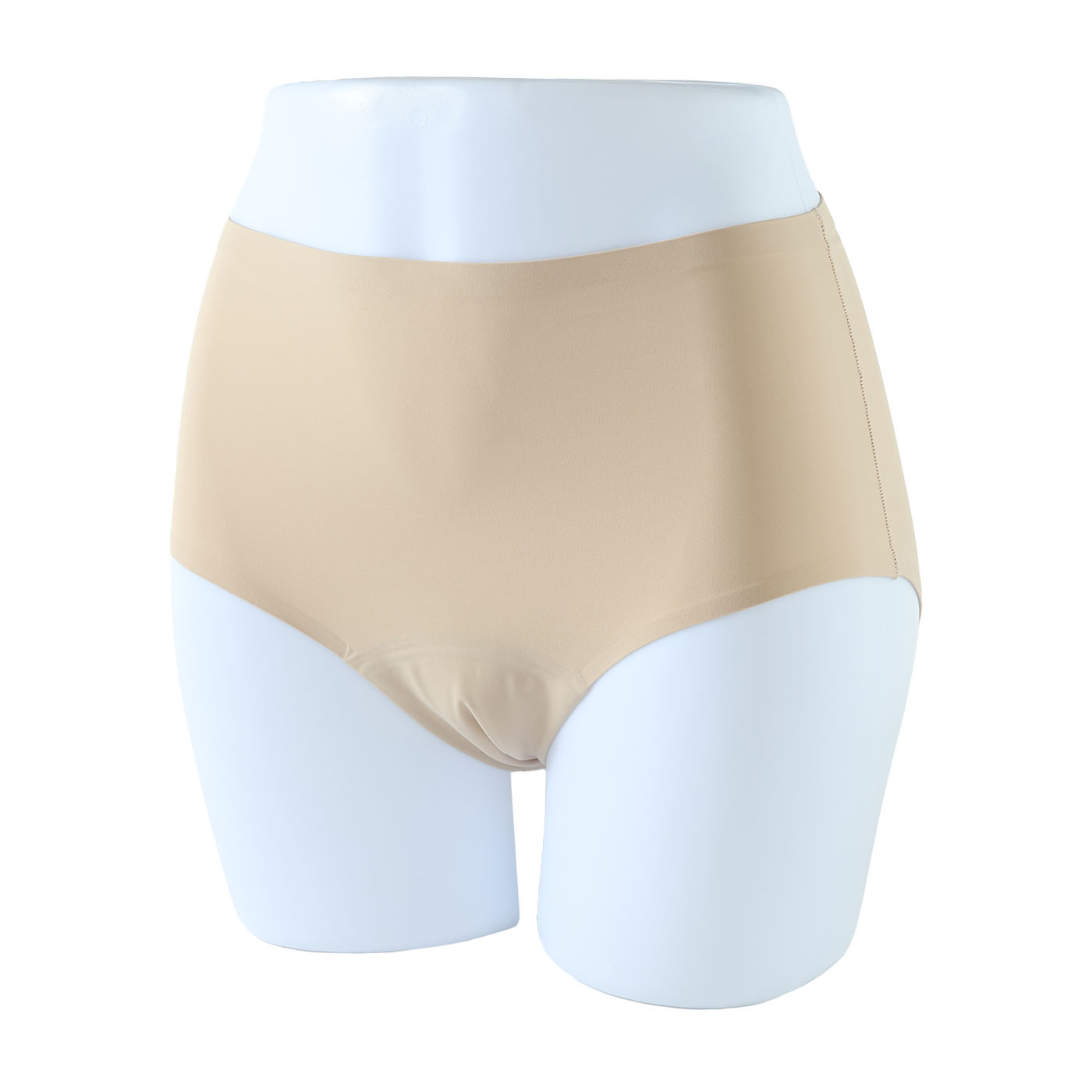 Leakproof High-Rise Brief Period Underwear 1