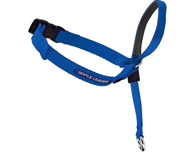10 Best No-Pull Dog Harnesses in 2022 (PetSafe and More) 3