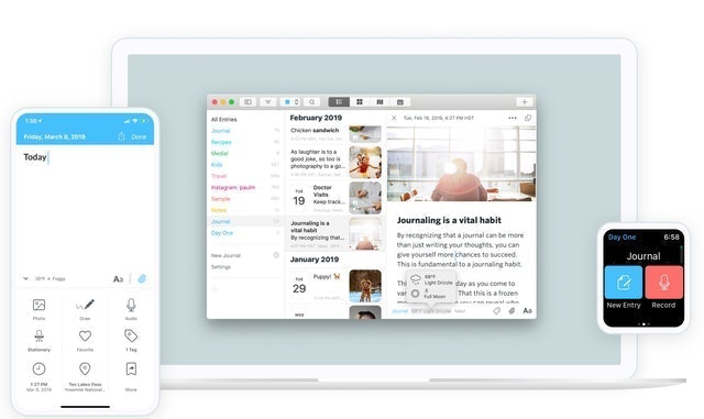 10 Best Diary Apps in 2022 (1SE, Penzu, and More) 5